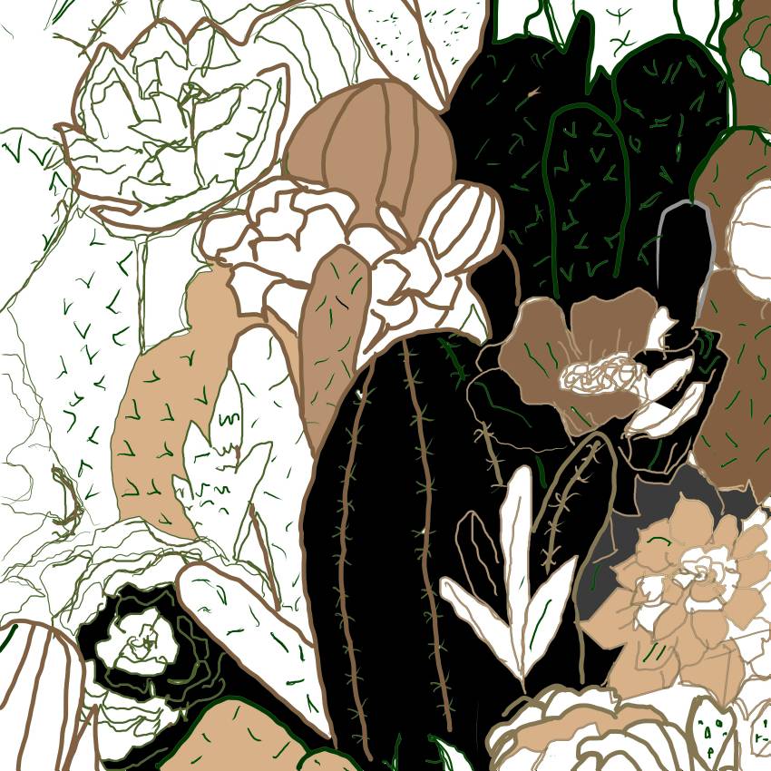 Anderson_Cactus (1)_compressed_basic - Betsy Ferguson Anderson_Cactus (1)_compressed_basic - Betsy Ferguson