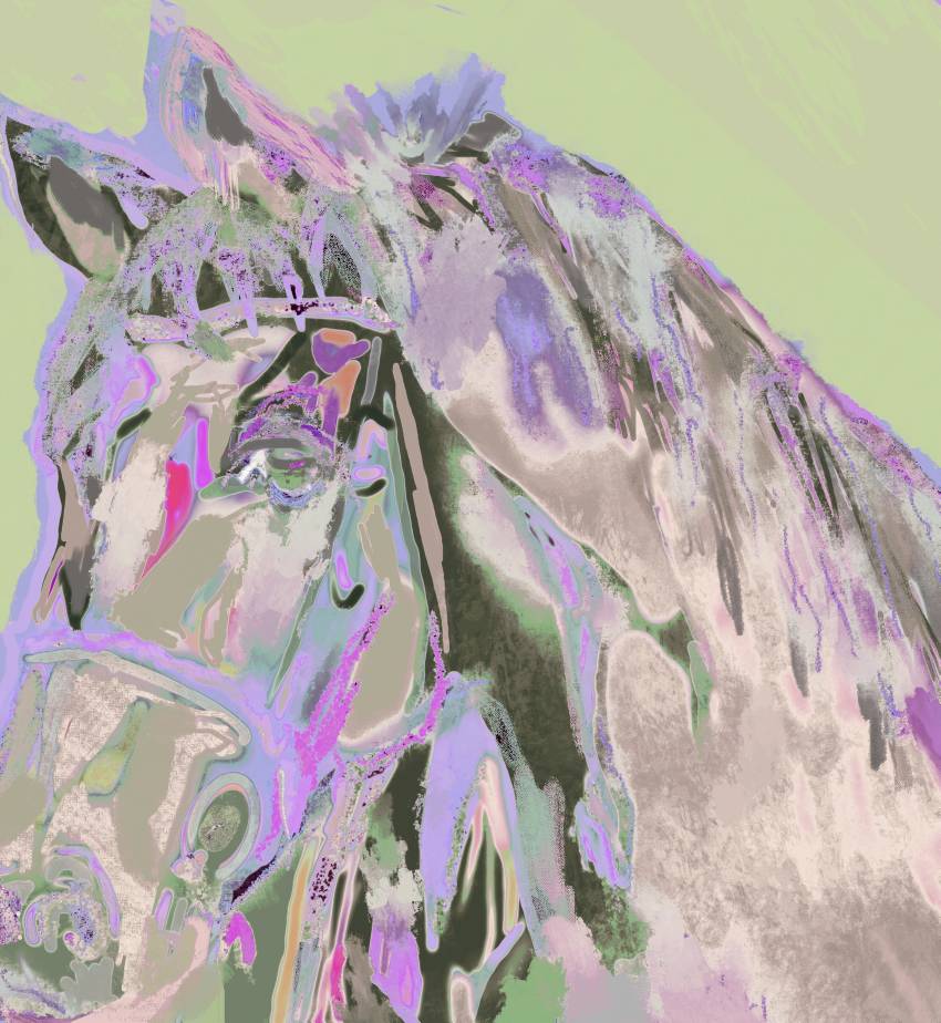 Horsing_Around_compressed_basic (1) - Betsy Ferguson Horsing_Around_compressed_basic (1) - Betsy Ferguson