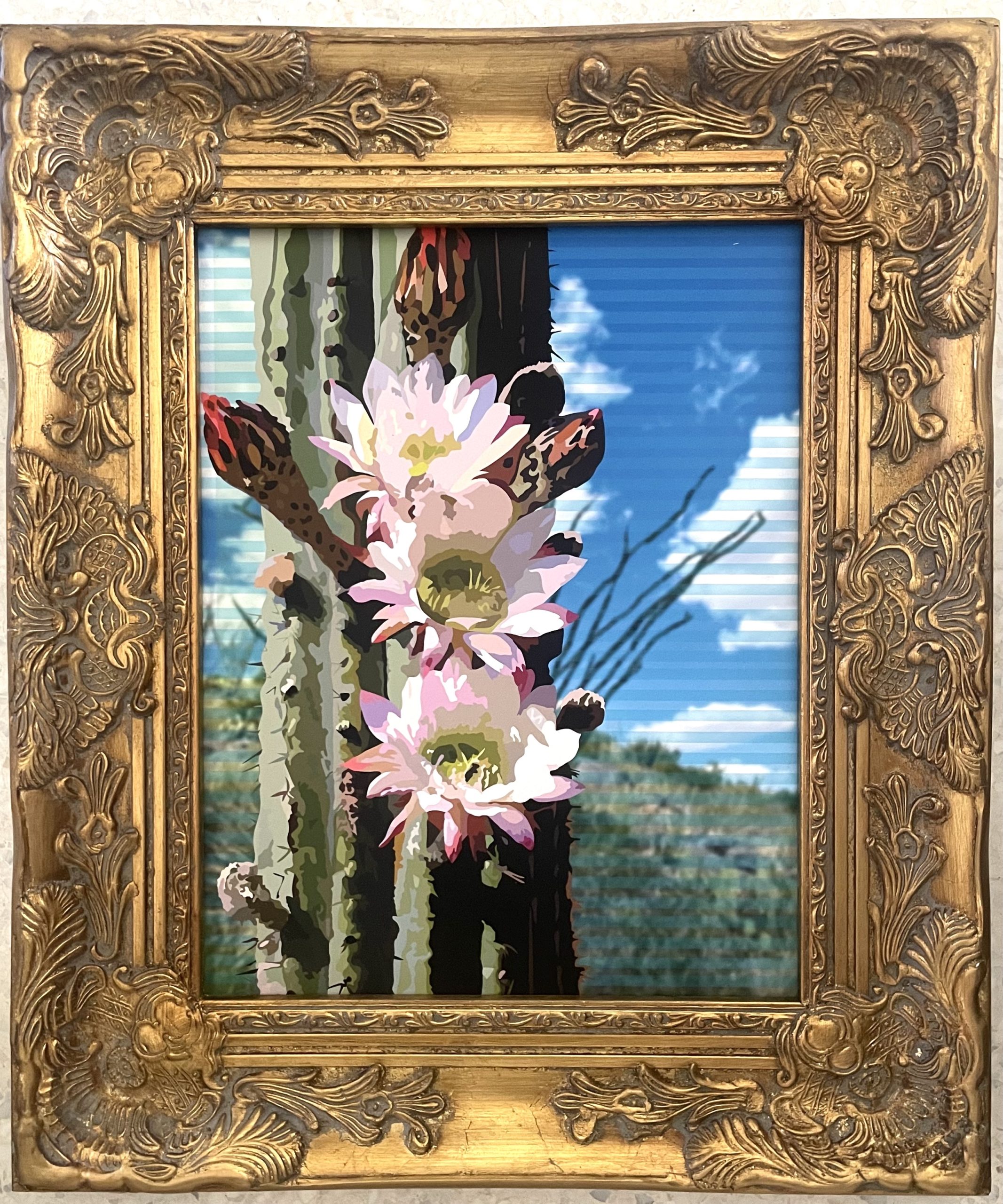 Cacti - Chris Gensheimer Cacti - Chris Gensheimer