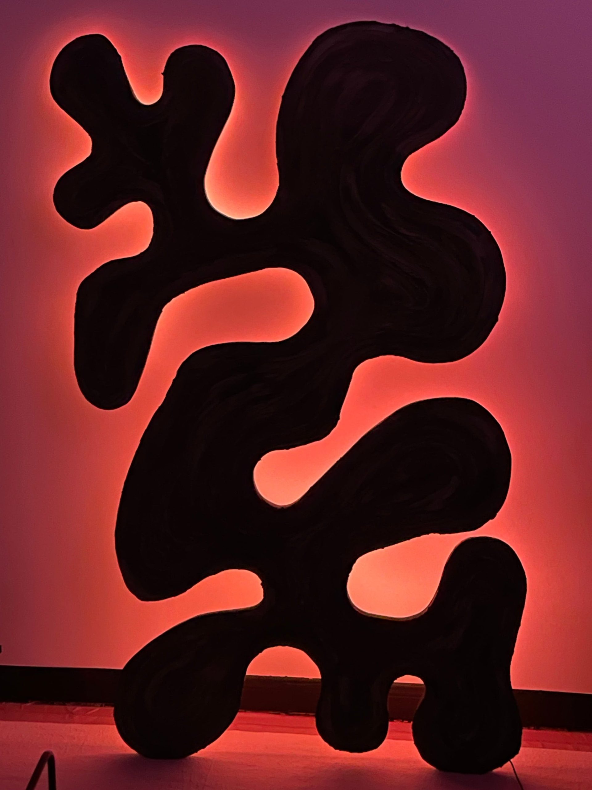 Daniel Trelenberg Studios